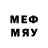 Псилоцибиновые грибы мицелий Evily Bronte