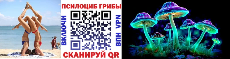 Псилоцибиновые грибы Psilocybe  цены   Новоульяновск 
